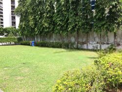 Florence Road (D19), Detached #400242971